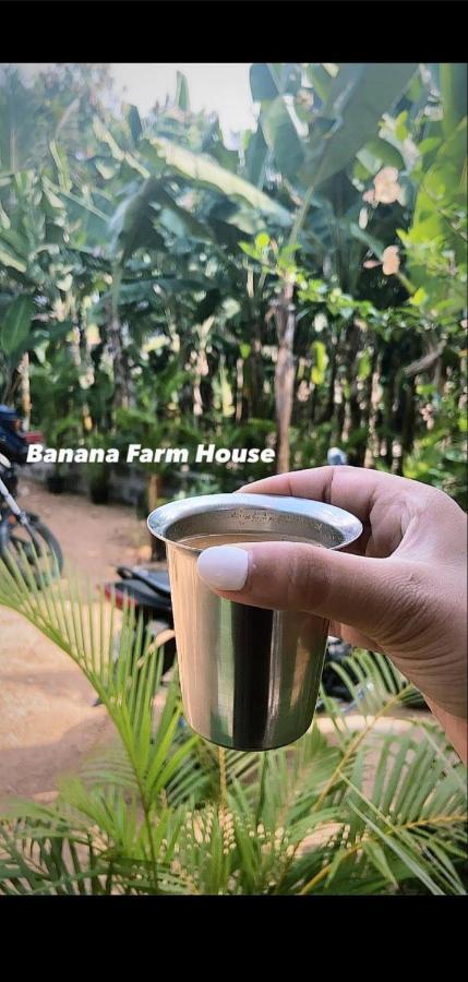 Banana Farm House Hampi Eksteriør bilde