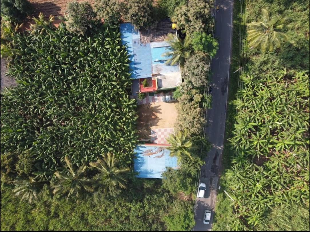 Banana Farm House Hampi Eksteriør bilde