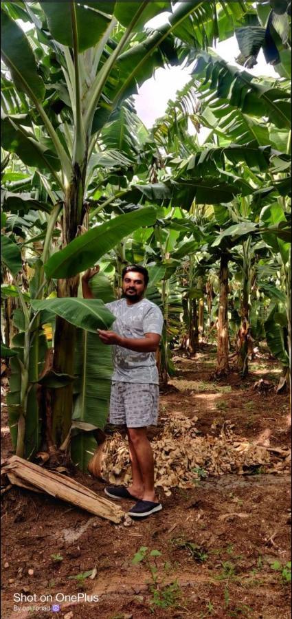 Banana Farm House Hampi Eksteriør bilde
